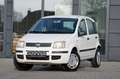 Fiat Panda 1.2 8V  * Benzin / Erdgas* Blanco - thumbnail 2
