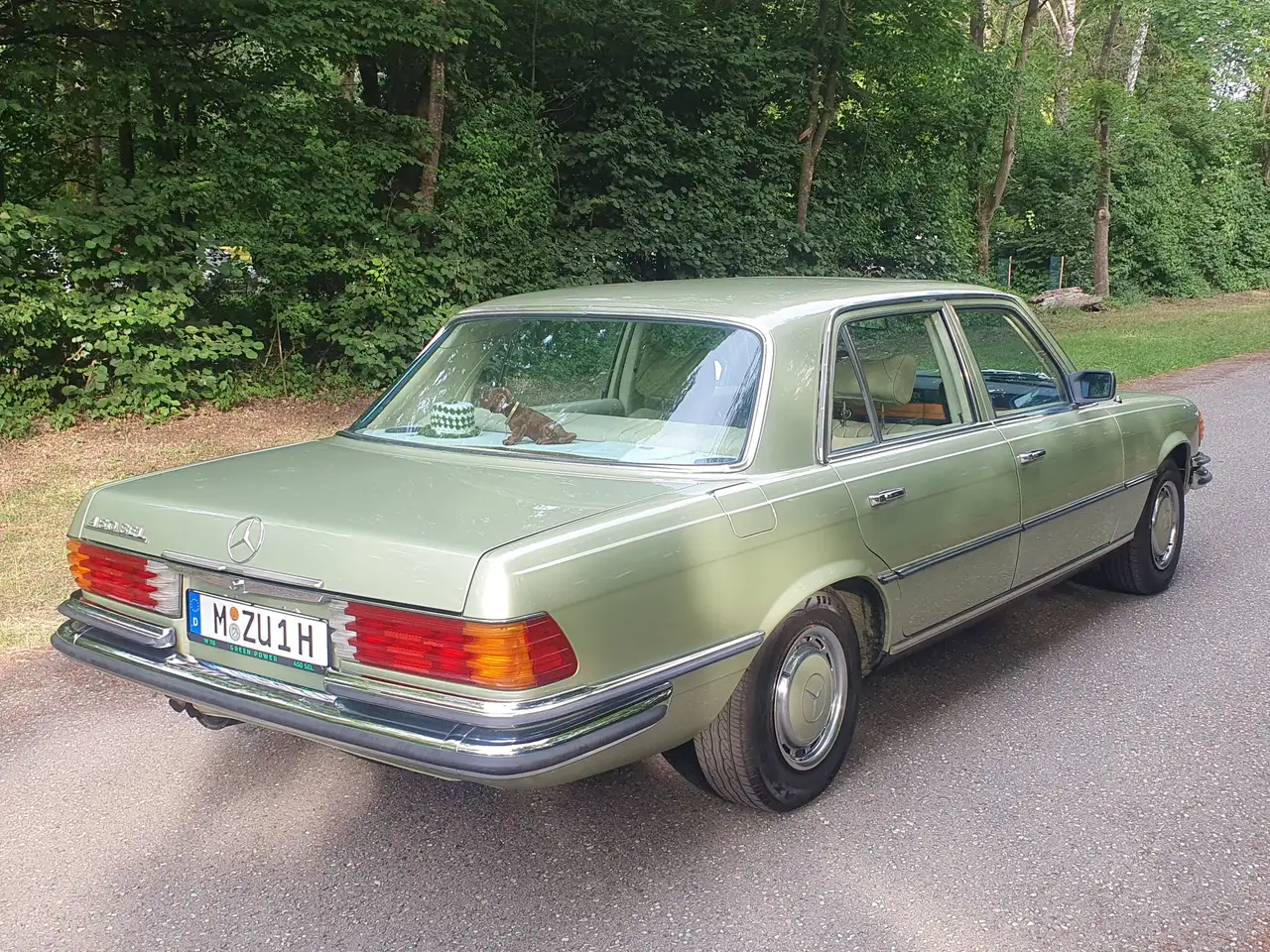 Mercedes-Benz 450 W 116, foto 2