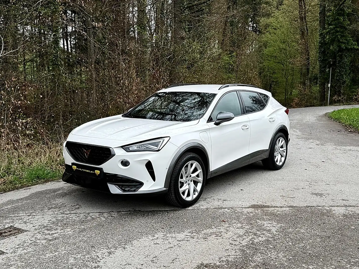 CUPRA Formentor Cupra e-Hybrid 204 DSG Anschluss-Garantie bis 1... Weiß - 1