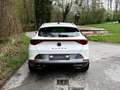 CUPRA Formentor Cupra e-Hybrid 204 DSG Anschluss-Garantie bis 1... Weiß - thumbnail 6