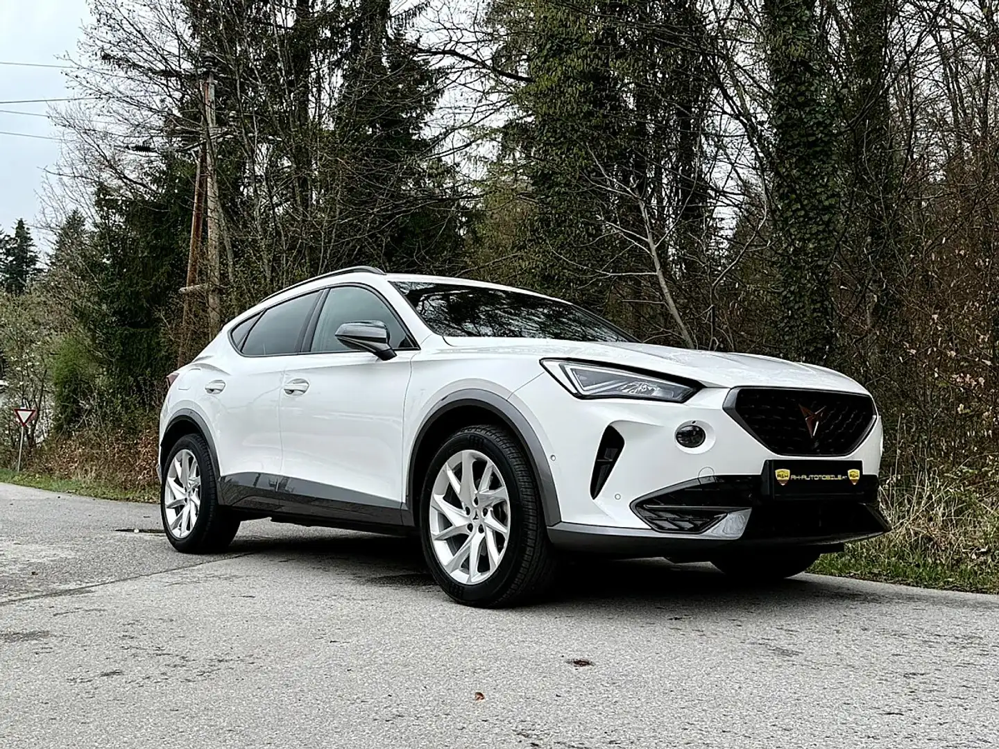 CUPRA Formentor 1,4 e-Hybrid 204 Cupra DSG Weiß - 2