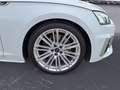 Audi S5 quattro Matrix Virtual Navi Keyless Weiß - thumbnail 12