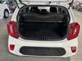 Kia Picanto 1.2 Dream-Team Edition - thumbnail 10