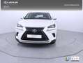 Lexus NX 300 300h Business 2WD Blanco - thumbnail 5