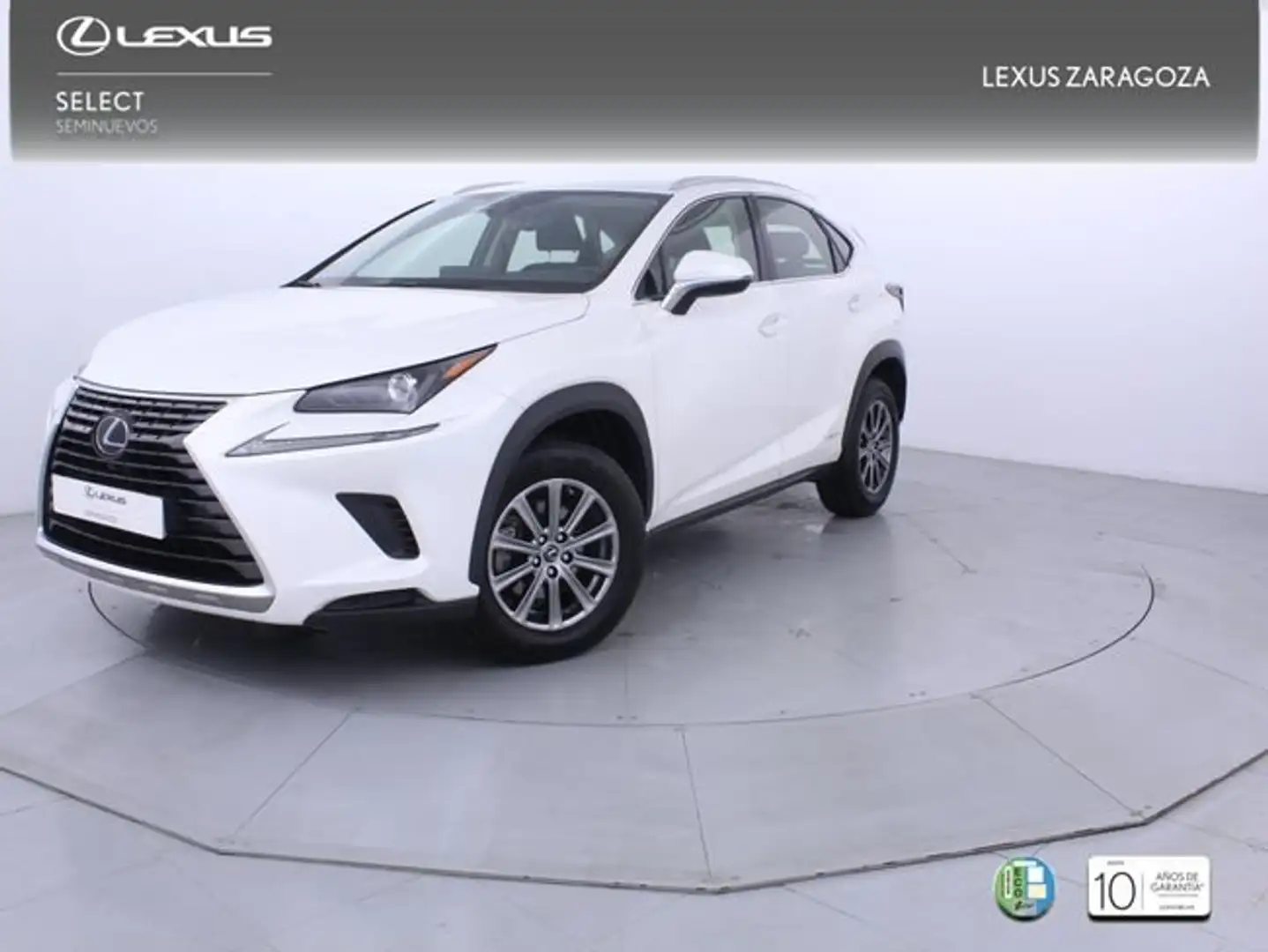 Lexus NX 300 300h Business 2WD Blanco - 1