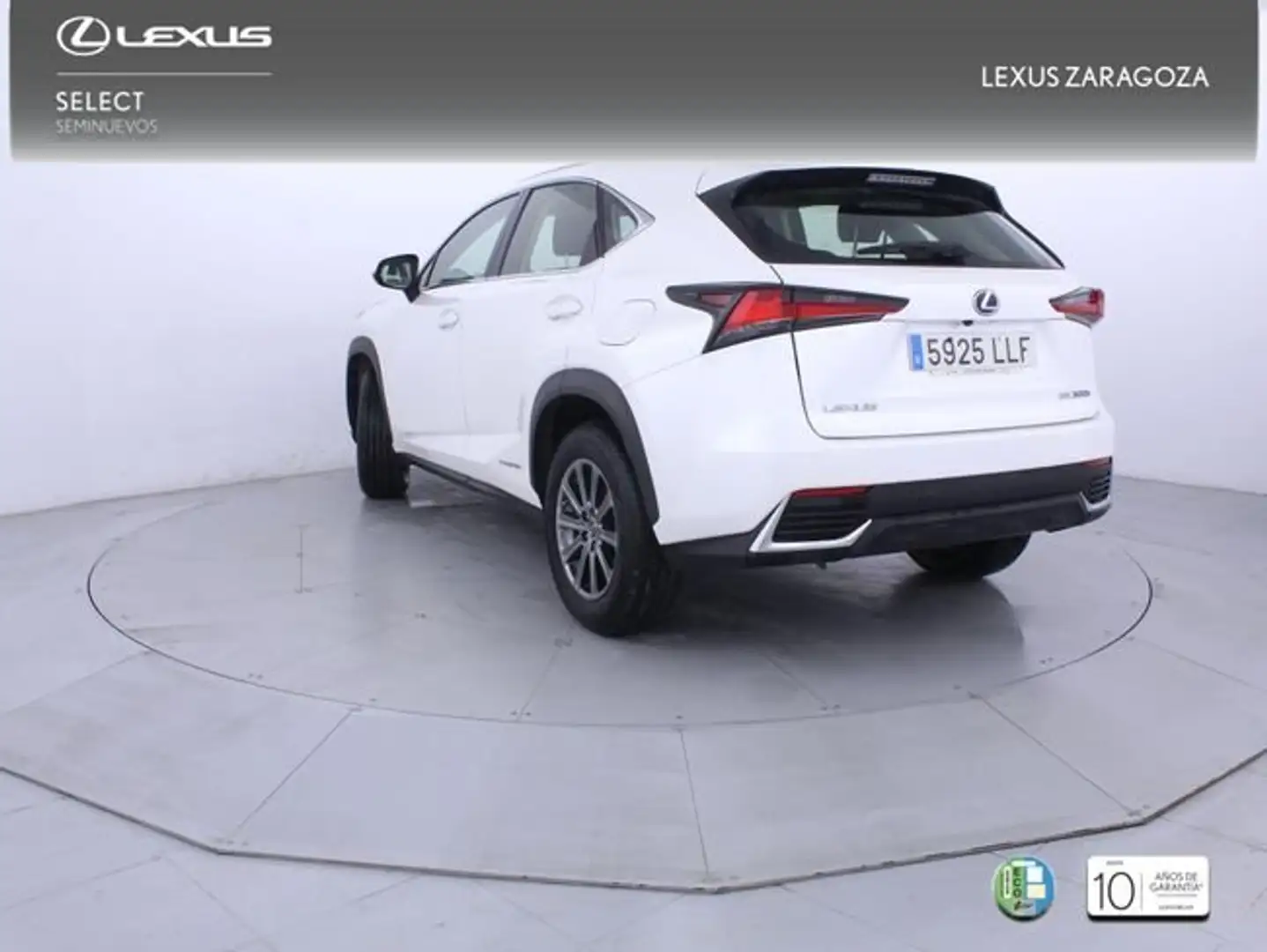 Lexus NX 300 300h Business 2WD Blanco - 2
