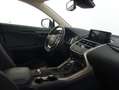 Lexus NX 300 300h Business 2WD Blanco - thumbnail 6