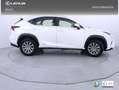 Lexus NX 300 300h Business 2WD Blanco - thumbnail 22