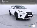 Lexus NX 300 300h Business 2WD Blanco - thumbnail 24