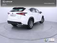 Lexus NX 300 300h Business 2WD Blanco - thumbnail 23