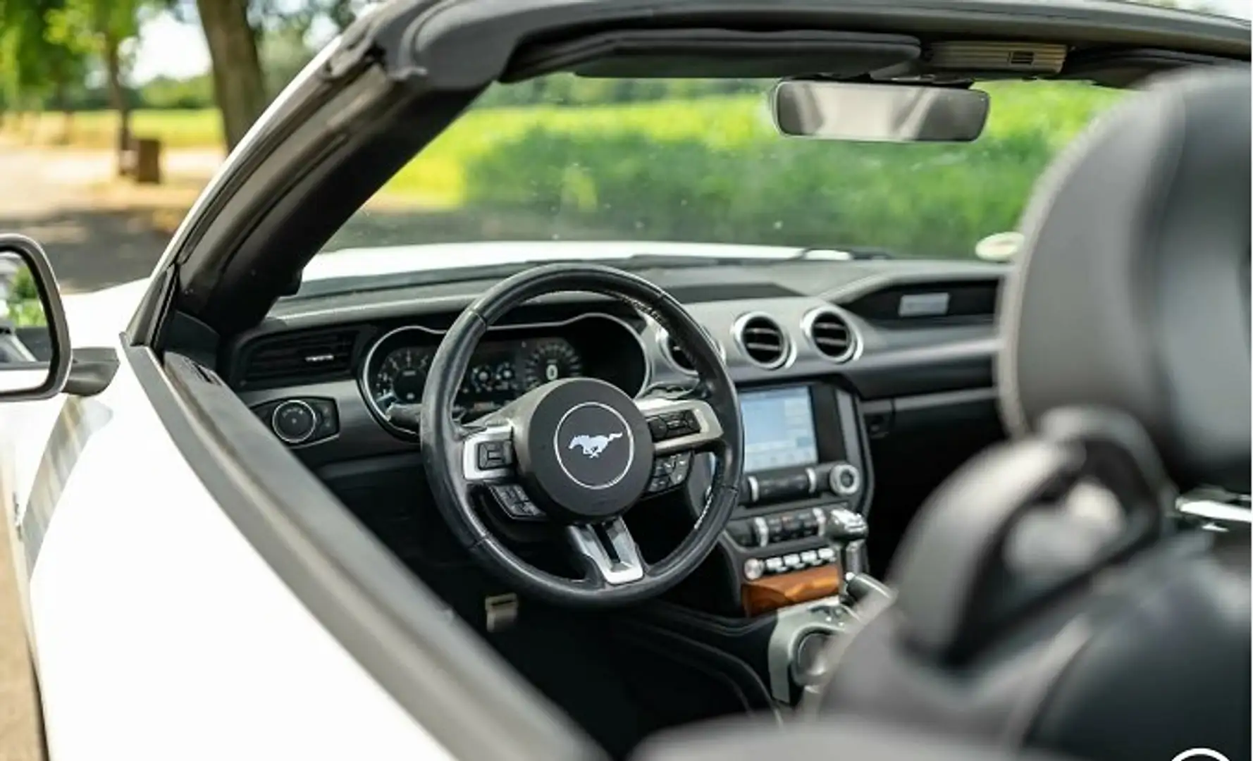 Ford Mustang Mustang Convertible 5.0 Ti-VCT V8 Aut. GT Weiß - 2