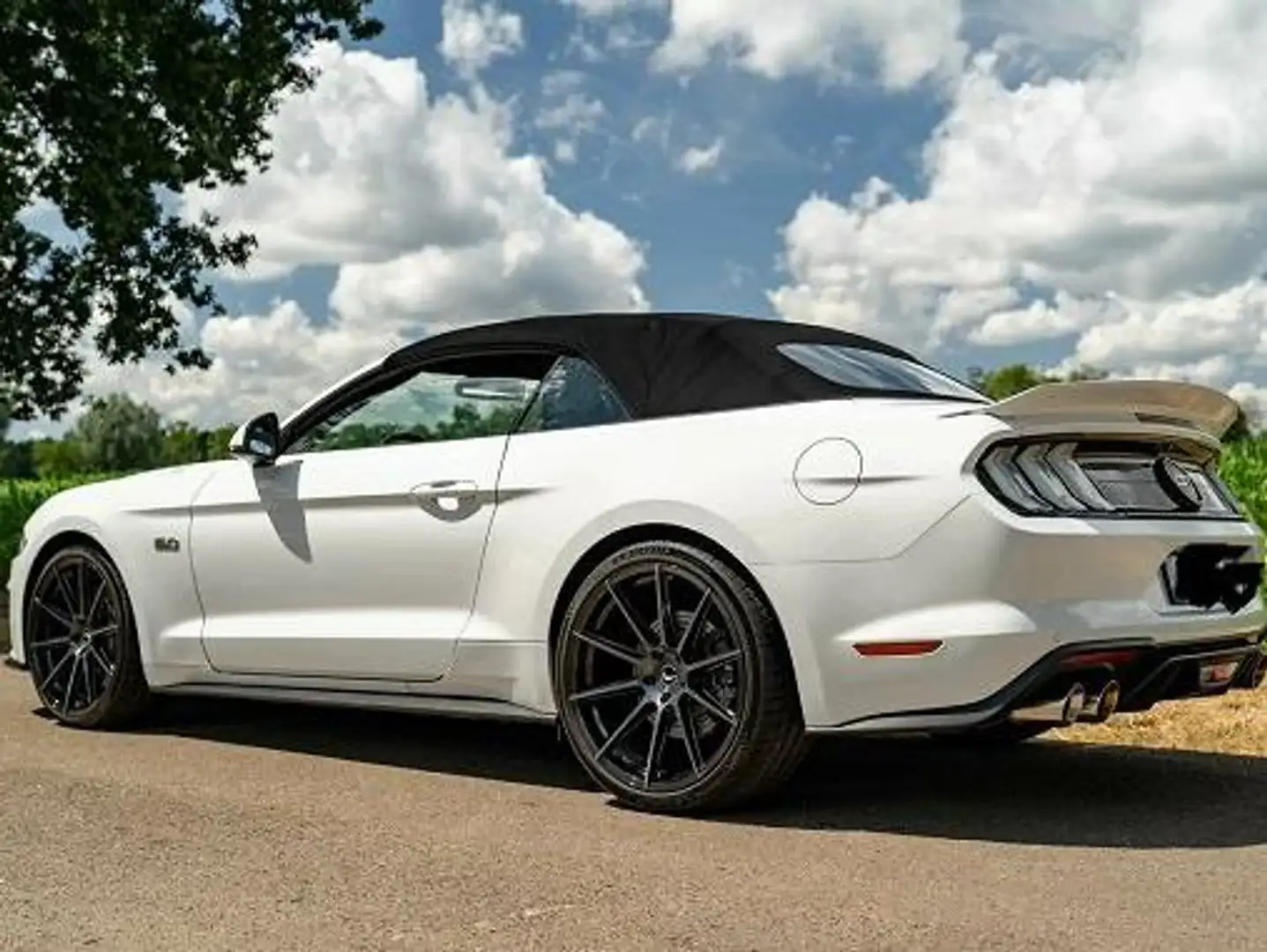 Ford Mustang Mustang Convertible 5.0 Ti-VCT V8 Aut. GT Weiß - 1