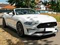 Ford Mustang Mustang Convertible 5.0 Ti-VCT V8 Aut. GT Weiß - thumbnail 3