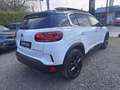 Citroen C5 Aircross BlueHDI 130 S&S EAT8 Automatik Shine Weiß - thumbnail 7