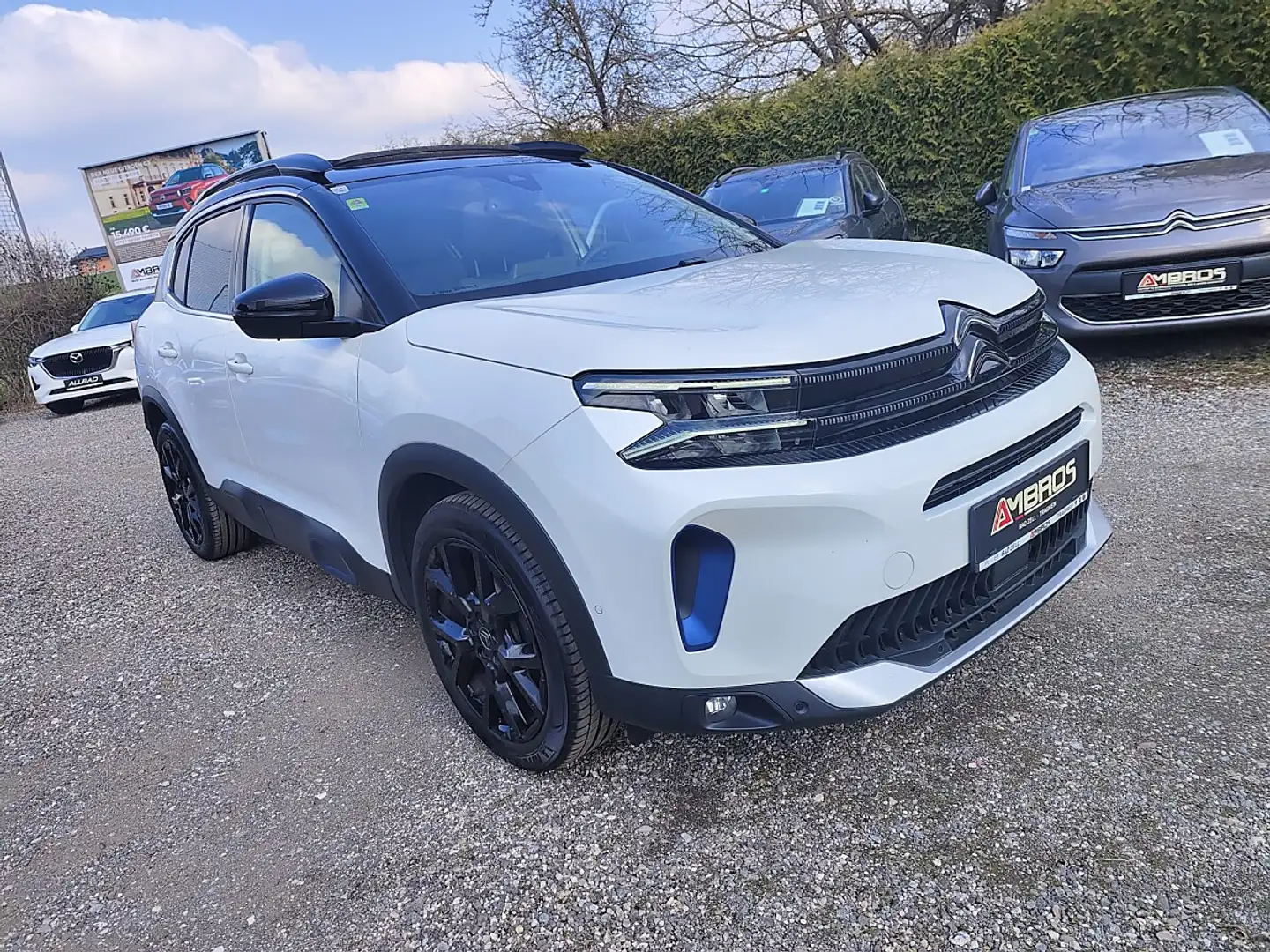 Citroen C5 Aircross BlueHDI 130 S&S EAT8 Automatik Shine Weiß - 1