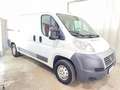 Fiat Ducato Kasten LANG 2,0 1.HAND 91TKM 5-GANG PDC Weiß - thumbnail 2