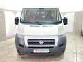 Fiat Ducato Kasten LANG 2,0 1.HAND 91TKM 5-GANG PDC Weiß - thumbnail 3