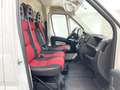 Fiat Ducato Kasten LANG 2,0 1.HAND 91TKM 5-GANG PDC Weiß - thumbnail 14