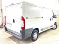 Fiat Ducato Kasten LANG 2,0 1.HAND 91TKM 5-GANG PDC Weiß - thumbnail 9