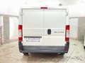Fiat Ducato Kasten LANG 2,0 1.HAND 91TKM 5-GANG PDC Weiß - thumbnail 5