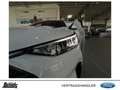Ford Kuga 2.5 FHEV ST-LINE NAVI LED BC KAMERA SHZ Winter Pkt Wit - thumbnail 19