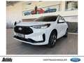 Ford Kuga 2.5 FHEV ST-LINE NAVI LED BC KAMERA SHZ Winter Pkt Blanco - thumbnail 1