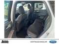 Ford Kuga 2.5 FHEV ST-LINE NAVI LED BC KAMERA SHZ Winter Pkt Blanc - thumbnail 9