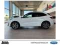 Ford Kuga 2.5 FHEV ST-LINE NAVI LED BC KAMERA SHZ Winter Pkt Blanc - thumbnail 3