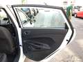 Ford Fiesta Fiesta 5p 1.5 tdci Business 75cv E6 Blanco - thumbnail 25
