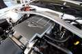 Ford Mustang GT Cabrio 4.6 V8 Weiß - thumbnail 22