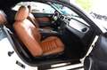 Ford Mustang GT Cabrio 4.6 V8 Weiß - thumbnail 13
