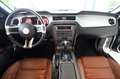 Ford Mustang GT Cabrio 4.6 V8 Weiß - thumbnail 14