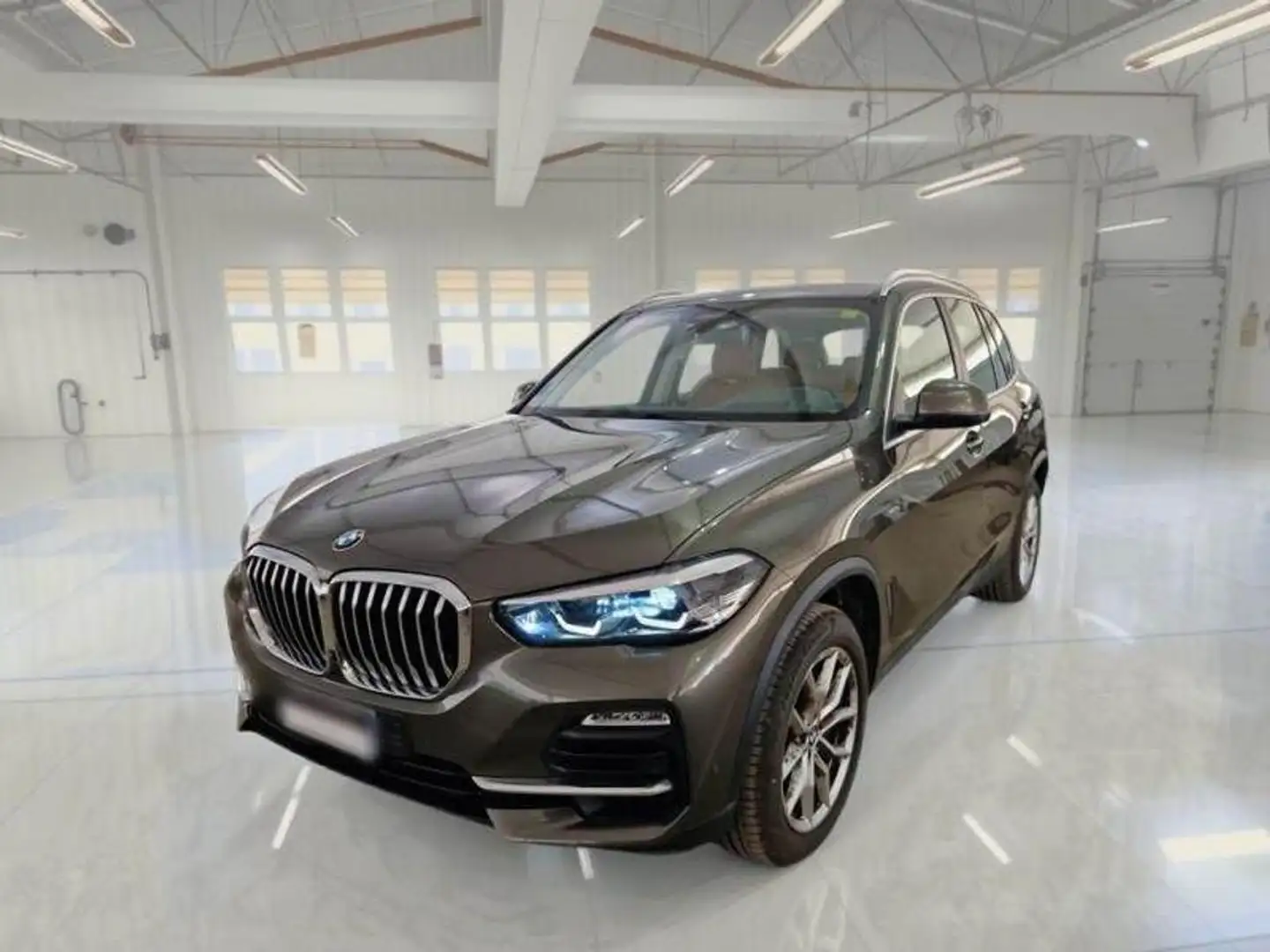 BMW X5 xDrive40d 48V Business Verde - 1