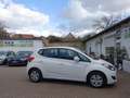 Hyundai iX20 5 Star Edition, EU5, Klima, Motorenschaden Weiß - thumbnail 4