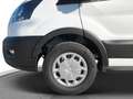 Ford Transit Kasten 350 L2 Trend LADERAUMVERKLEIDUNG White - thumbnail 19