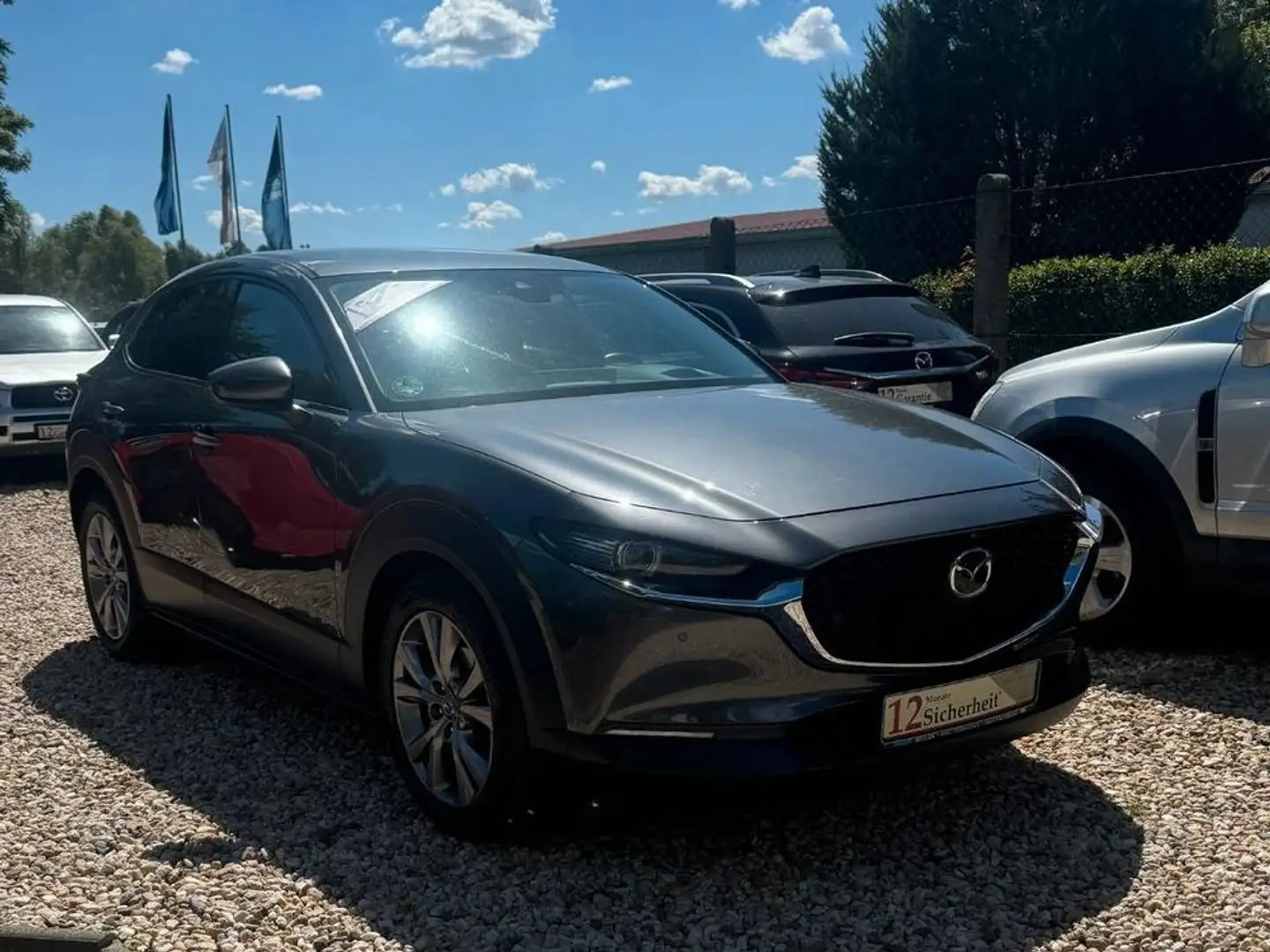 Mazda CX-30 Selection*Led*HUD*360*Garantie* Grau - 1