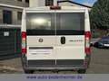 Fiat Ducato Kasten 28 115 Multijet L1H1 2.8 to·AHK Weiß - thumbnail 14