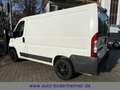 Fiat Ducato Kasten 28 115 Multijet L1H1 2.8 to·AHK Weiß - thumbnail 4