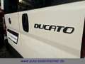 Fiat Ducato Kasten 28 115 Multijet L1H1 2.8 to·AHK Weiß - thumbnail 6