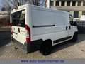 Fiat Ducato Kasten 28 115 Multijet L1H1 2.8 to·AHK Weiß - thumbnail 2