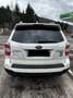 Subaru Forester Forester 2,0D Exclusive CVT Exclusive Weiß - thumbnail 2