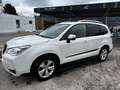 Subaru Forester Forester 2,0D Exclusive CVT Exclusive Weiß - thumbnail 3