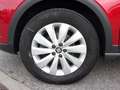 SEAT Arona ARONA STYLE 1.0 ECOTSI VOLL-LED SITZHEIZ. EPH Rouge - thumbnail 4