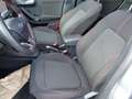 Ford Puma Puma 1.0 EcoBoost Hybrid 125 CV S&S aut. ST-Line Grau - thumbnail 9