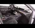 Lancia Ypsilon Nuova Ypsilon MHEV serie 1 Nuova Ypsilon LX 1.2 11 Grigio - thumbnail 12