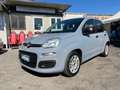 Fiat Panda Panda 1.0 FireFly S&S Hybrid Grau - thumbnail 2