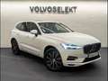 Volvo XC60 T8 Twin Engine 320 + 87ch Inscription Luxe Geartronic Blanc - thumbnail 2