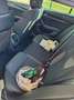 Skoda Octavia Octavia IV 2020 Wagon 2.0 tdi evo Style 150cv dsg Nero - thumbnail 11