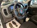 Fiat Panda 1.0 firefly hybrid Icon s&s 70cv Km Zero Blanco - thumbnail 10