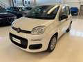 Fiat Panda 1.0 firefly hybrid Icon s&s 70cv Km Zero Blanco - thumbnail 1